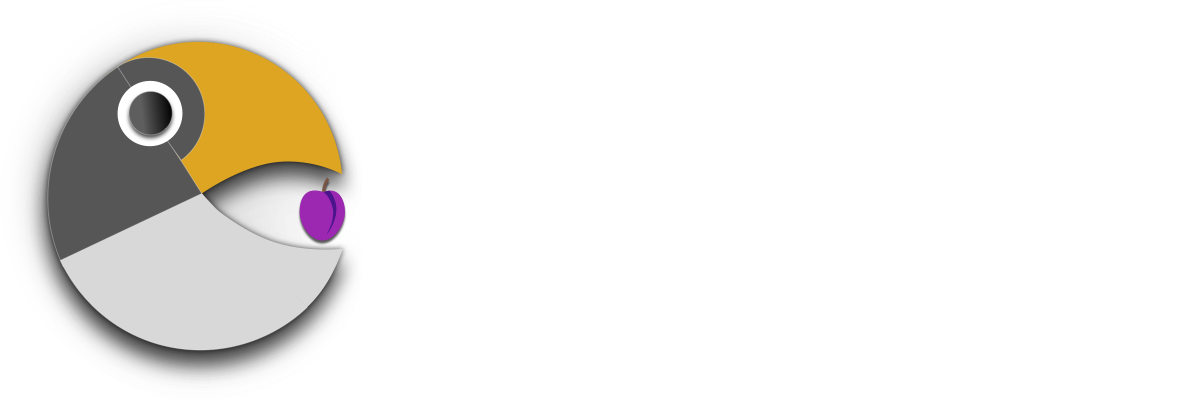 SCWEBS Info Solutions PVT LTD logo